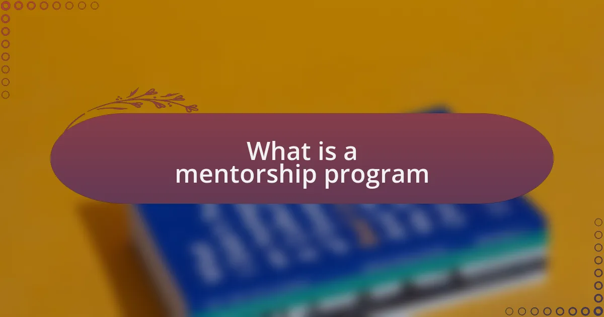 What is a mentorship program